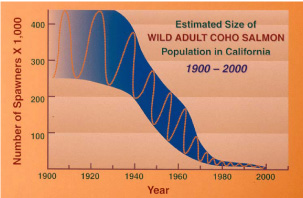 Chart of Decline of CCC Coho
