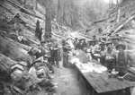 Turn of the century logging in the Gualala
