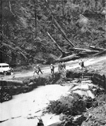 1950s logging impacts in gualala
